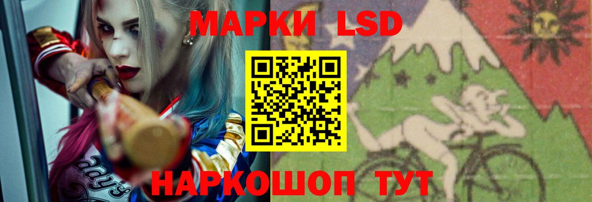 ЛСД экстази ecstasy  Вход с VPN  Новозыбков    вход  ЛСД экстази кислота 