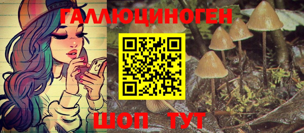 Псилоцибиновые грибы мицелий  наркошоп  Новозыбков  Вход с VPN 