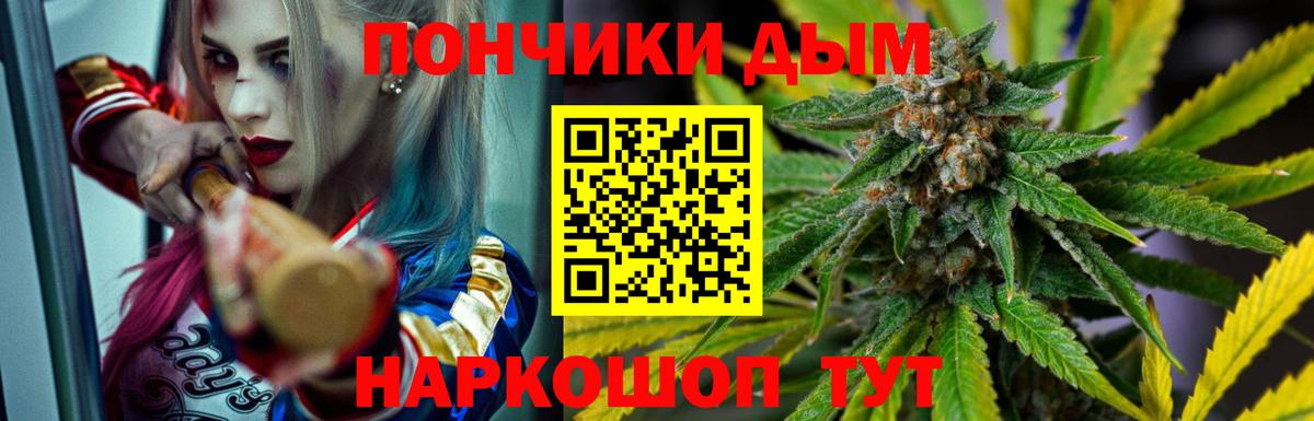Шишки марихуана ГИДРОПОН Новозыбков